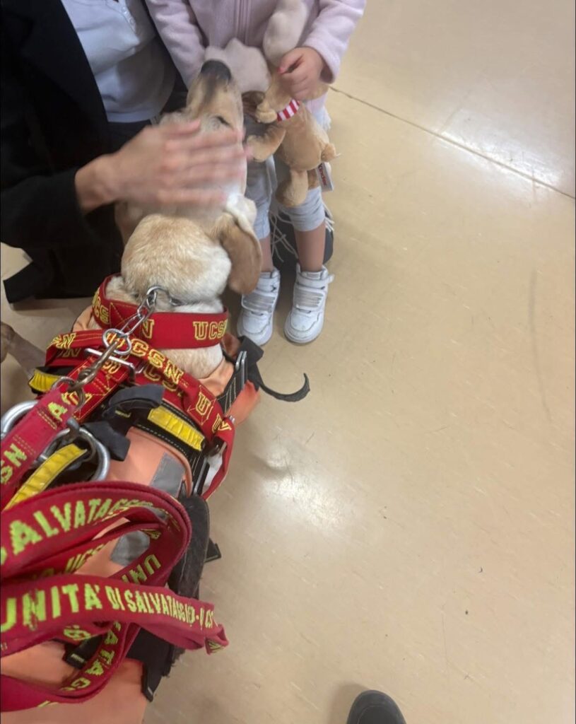 Pet Therapy