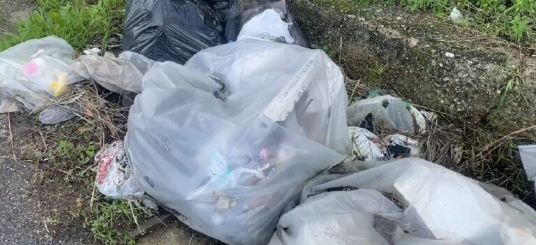 Reggio Calabria, discarica a cielo aperto sulla statale 18 tra Villa e Scilla | VIDEO