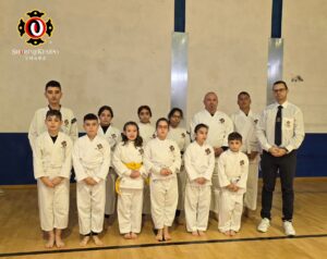 Tandoku Shorinji Kempo