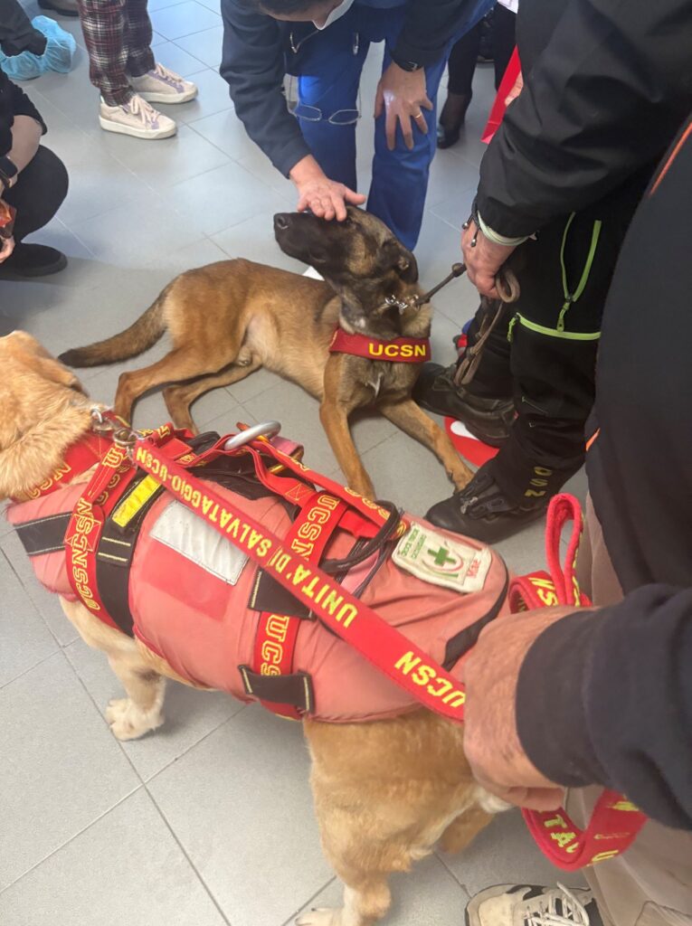 Visita UCSN al Pugliese Ciaccio