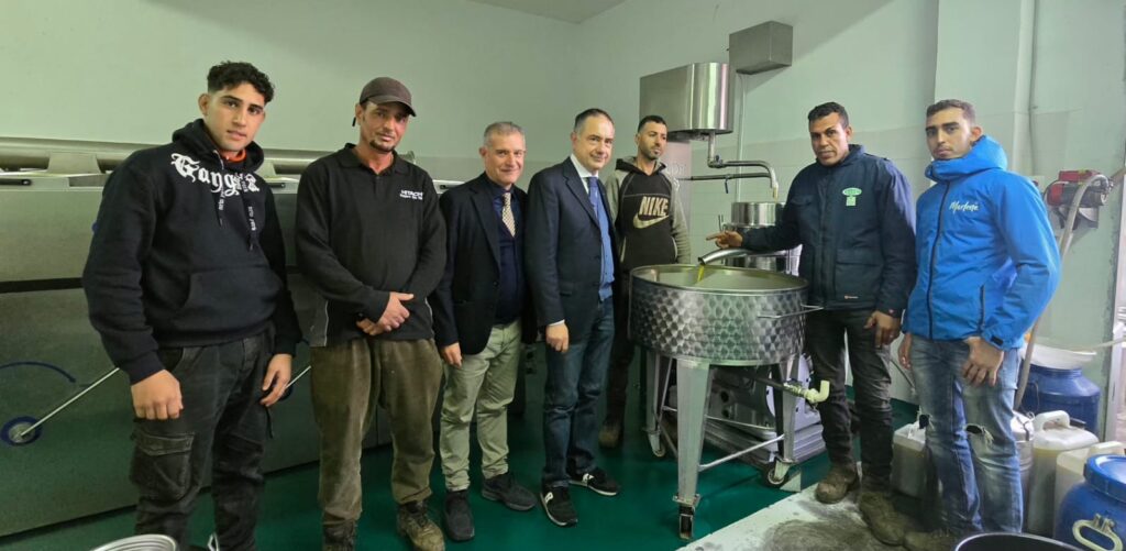 Visita frantoi piana gioia tauro