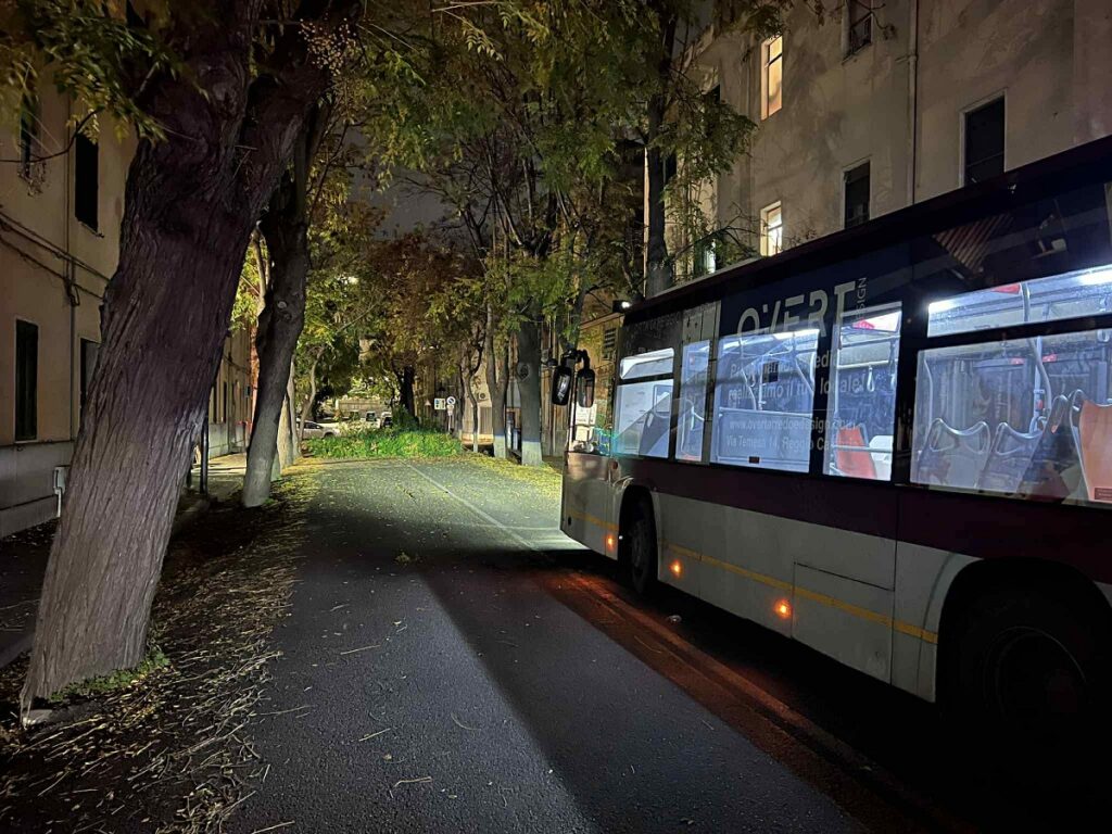 albero caduto via Galileo Galilei