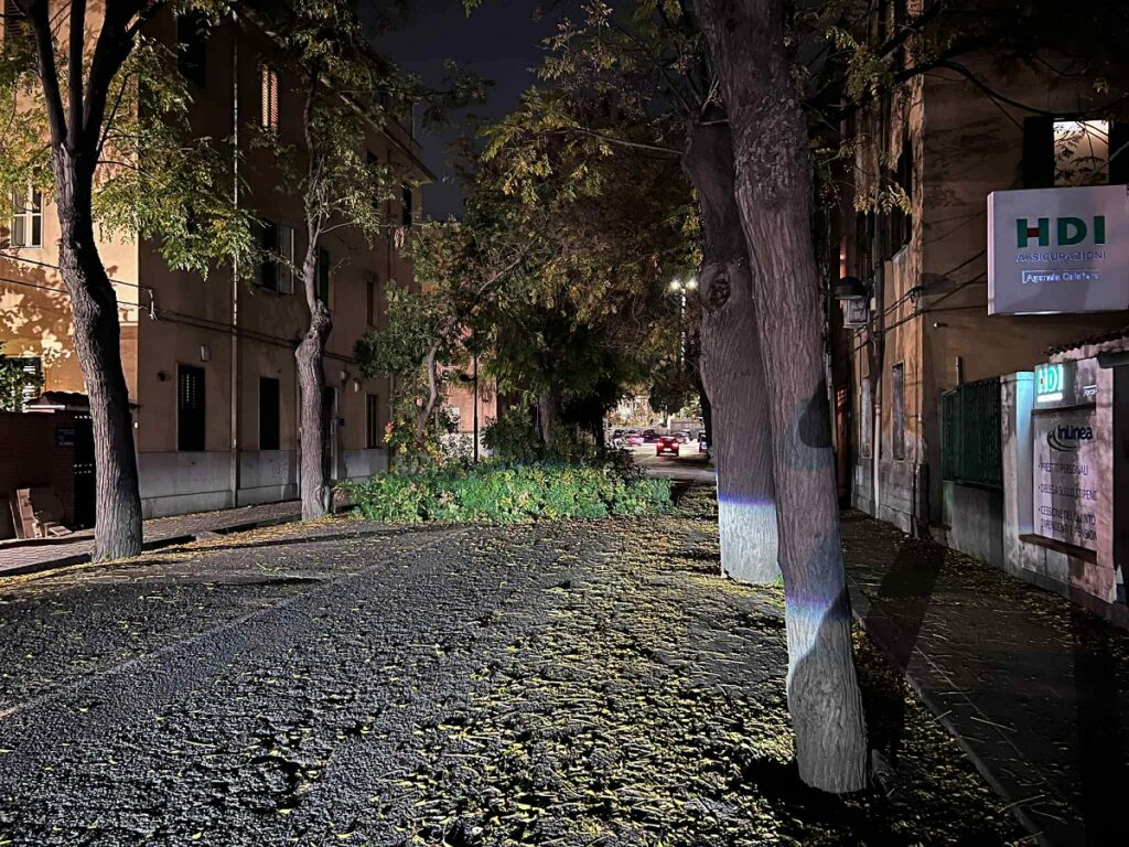 albero caduto via Galileo Galilei