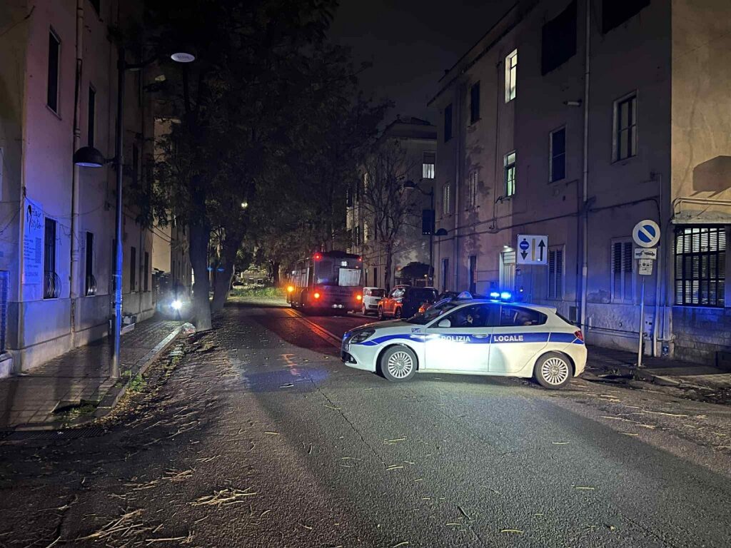 albero caduto via Galileo Galilei