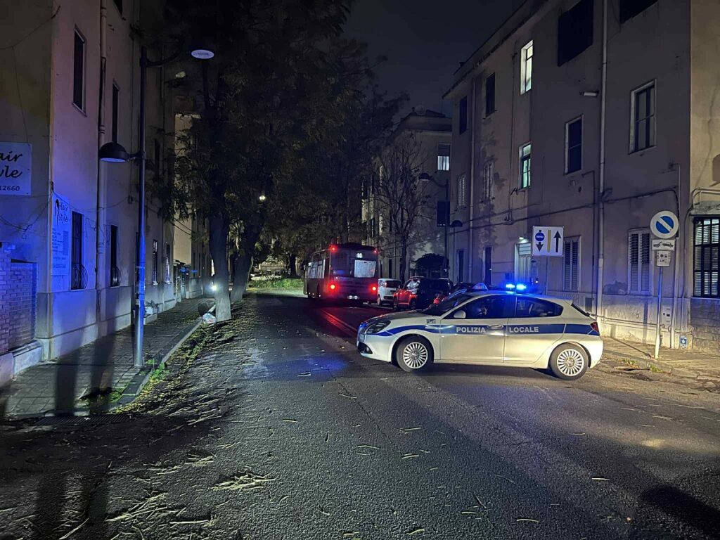 albero caduto via Galileo Galilei