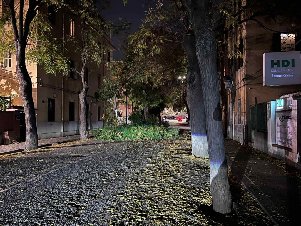 albero caduto via Galileo Galilei