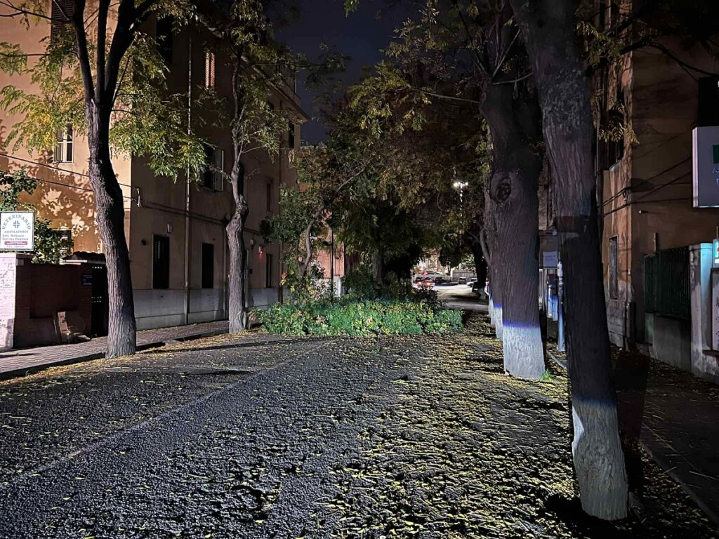 albero caduto via Galileo Galilei