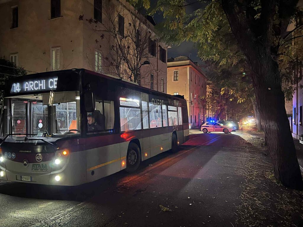 albero caduto via Galileo Galilei