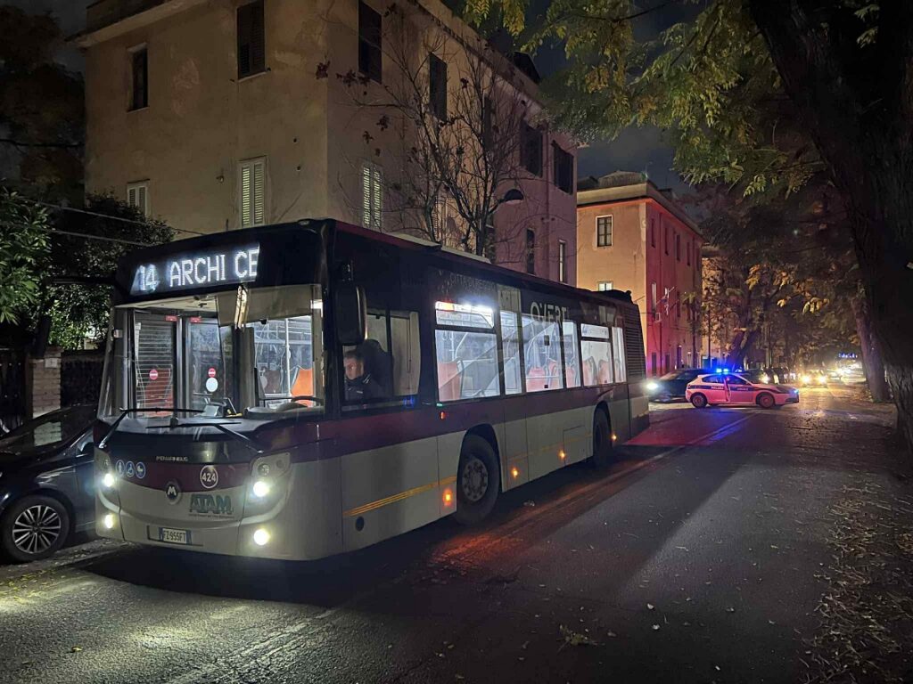 albero caduto via Galileo Galilei