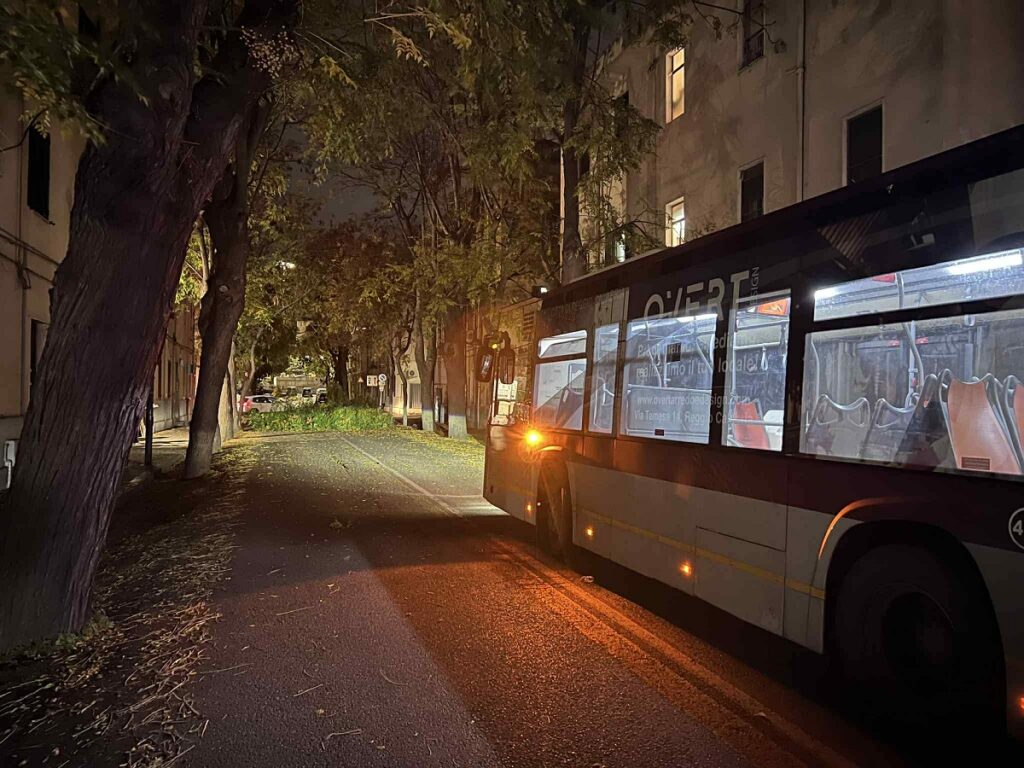 albero caduto via Galileo Galilei