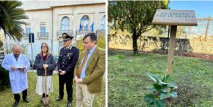 albero per la salute Gom Reggio Calabria