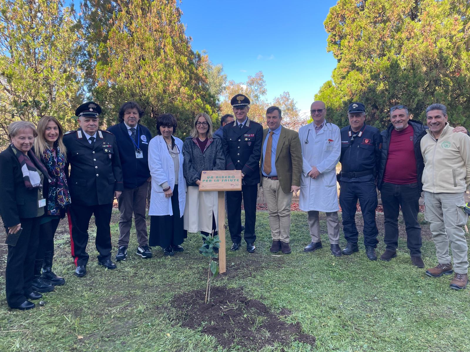 albero per la salute Gom Reggio Calabria