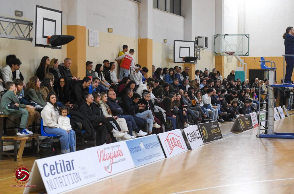 amaro dhelios volley