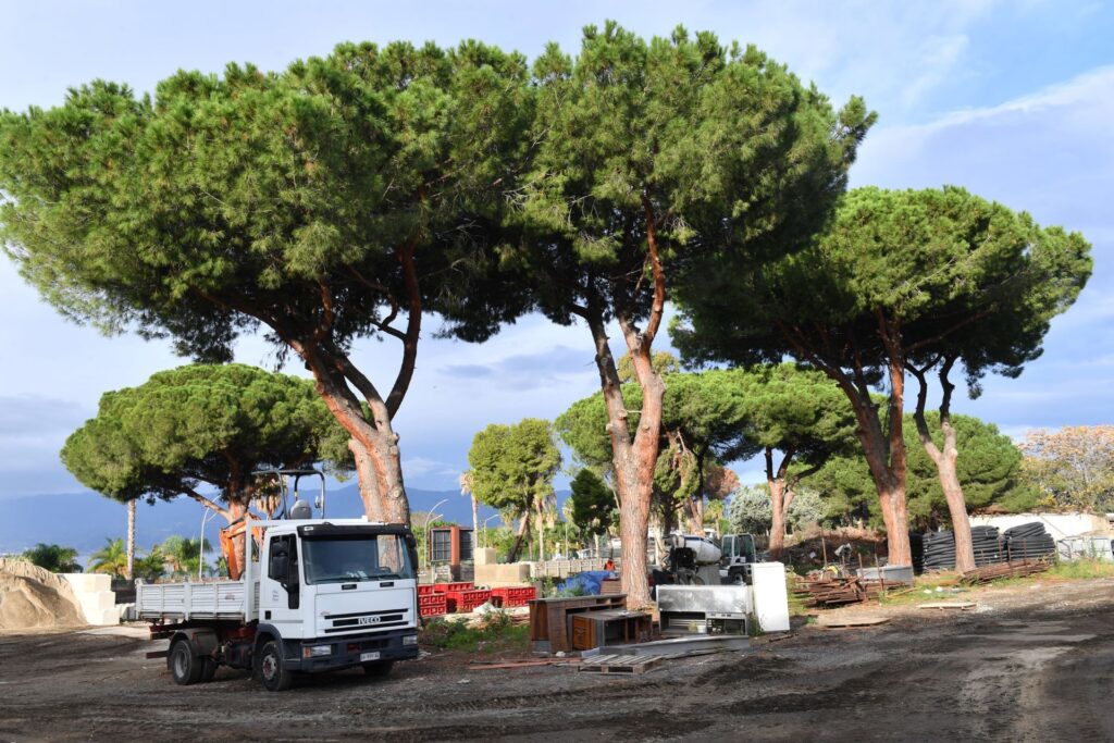 area ex italcitrus reggio calabria (2)