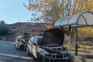 auto bruciate