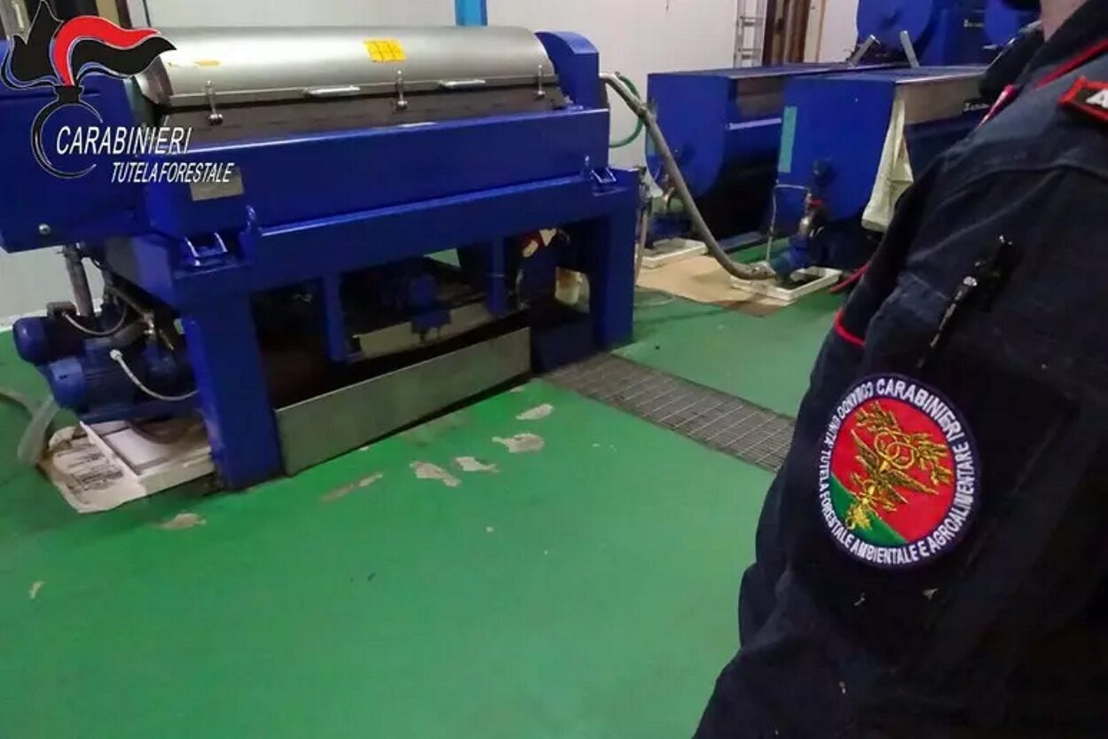 carabinieri tutela forestale
