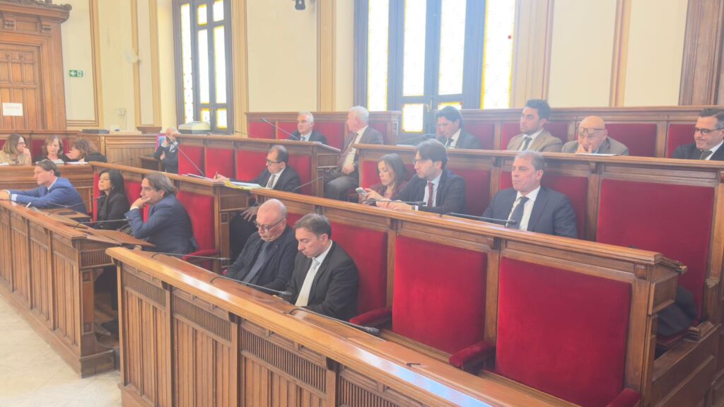 consiglio comunale reggio calabria 29 dicembre 2025