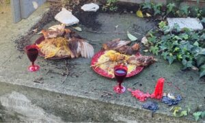 galline sgozzate taurianova