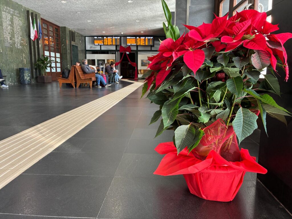 natale 2025 stazione centrale reggio calabria