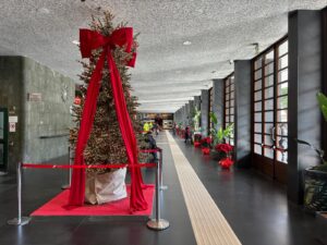 natale 2025 stazione centrale reggio calabria