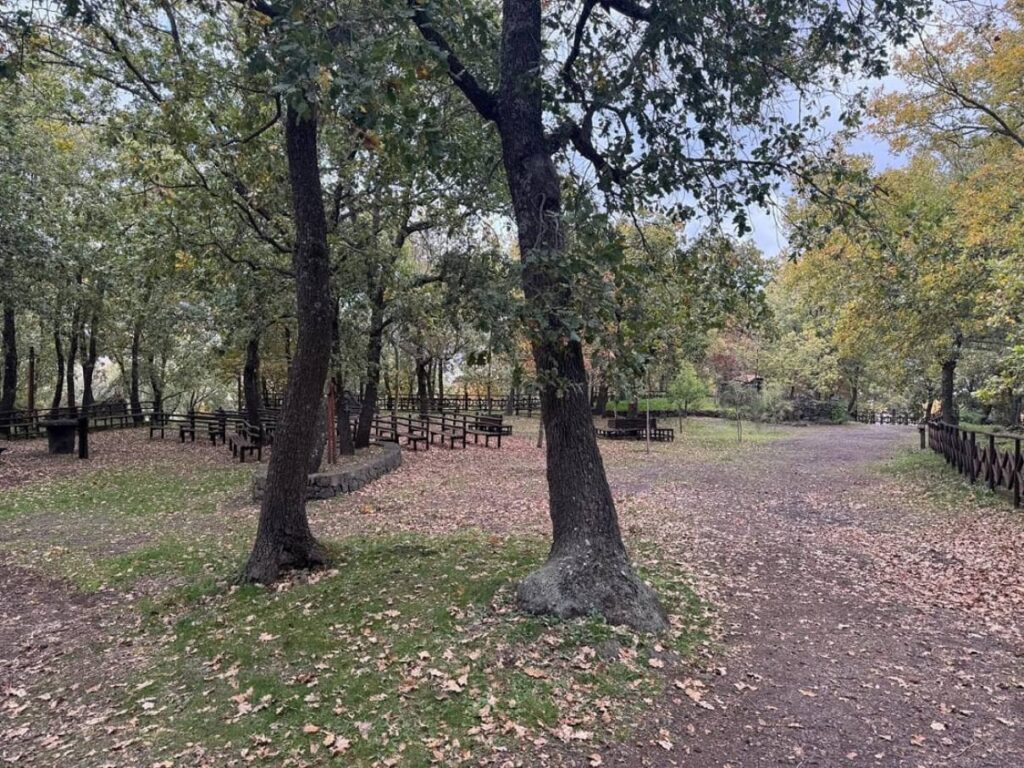 parco sciarone