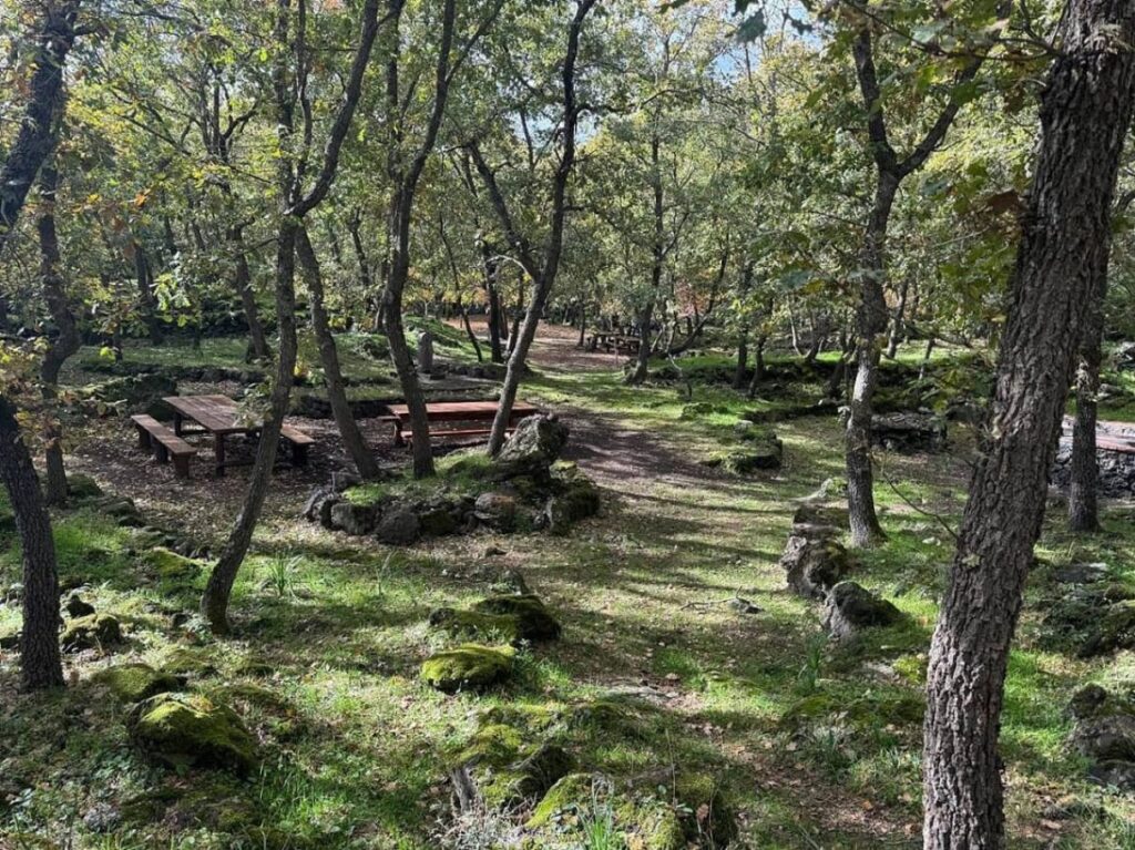 parco sciarone