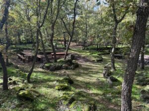 parco sciarone