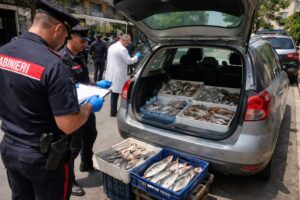 Sequestro pesce