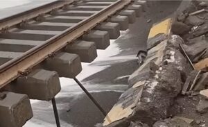 Binari sospesi nel vuoto