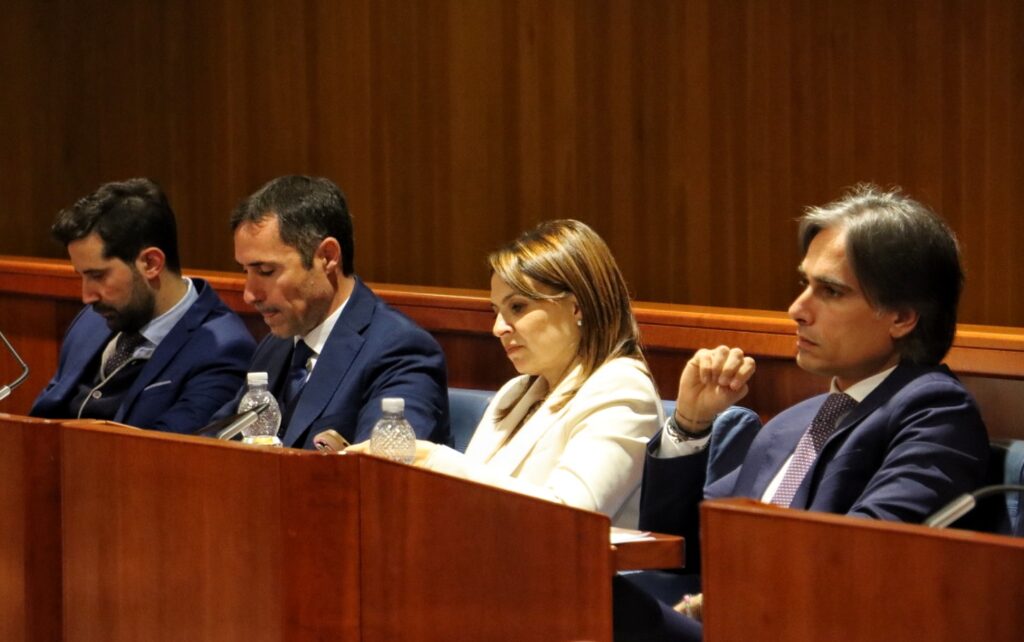 Consiglio Regionale Calabria 16 gennaio