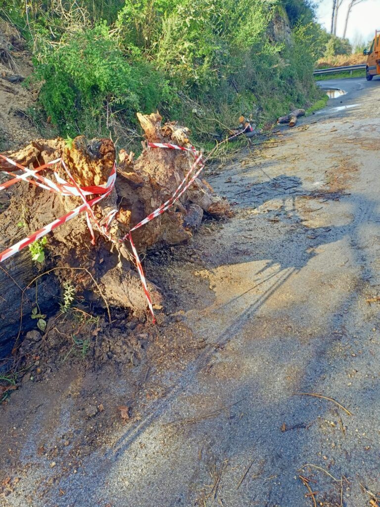 Intervento dei cantonieri sulla S.P. 44 Campo Italia e S.P. 45 Curcuraci-4 Masse