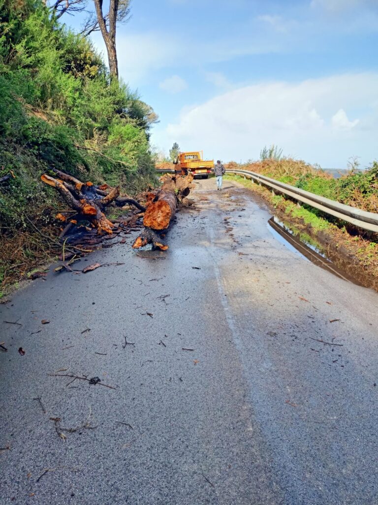 Intervento dei cantonieri sulla S.P. 44 Campo Italia e S.P. 45 Curcuraci-4 Masse