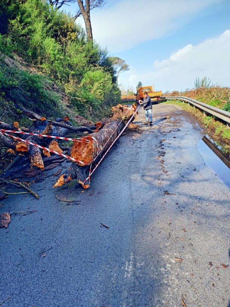 Intervento dei cantonieri sulla S.P. 44 Campo Italia e S.P. 45 Curcuraci-4 Masse