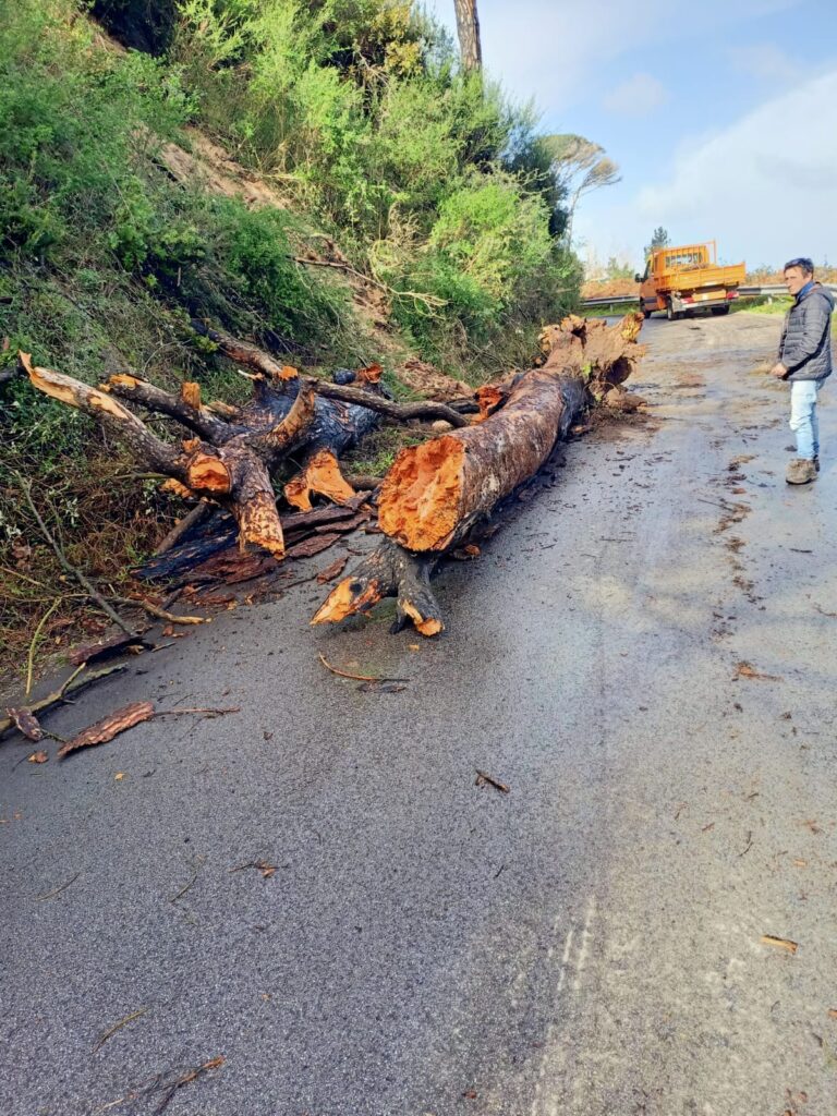 Intervento dei cantonieri sulla S.P. 44 Campo Italia e S.P. 45 Curcuraci-4 Masse