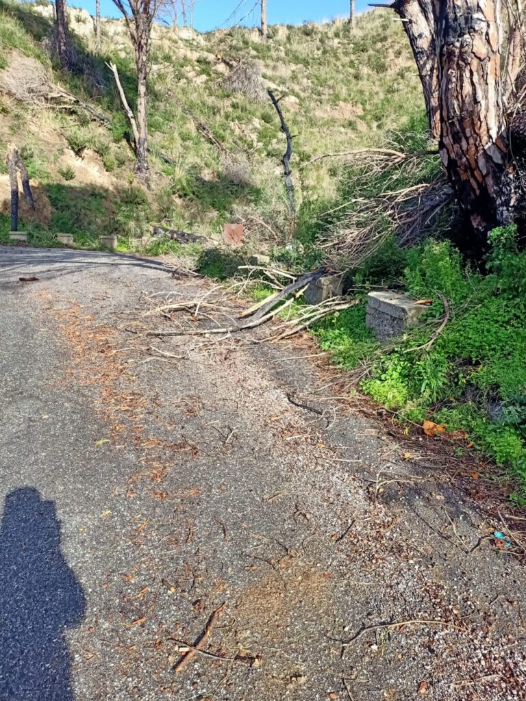 Intervento dei cantonieri sulla S.P. 44 Campo Italia e S.P. 45 Curcuraci-4 Masse