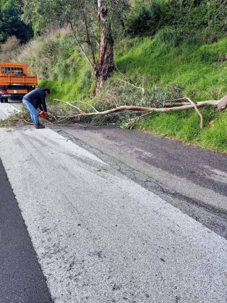 Intervento dei cantonieri sulla S.P. 44 Campo Italia e S.P. 45 Curcuraci-4 Masse