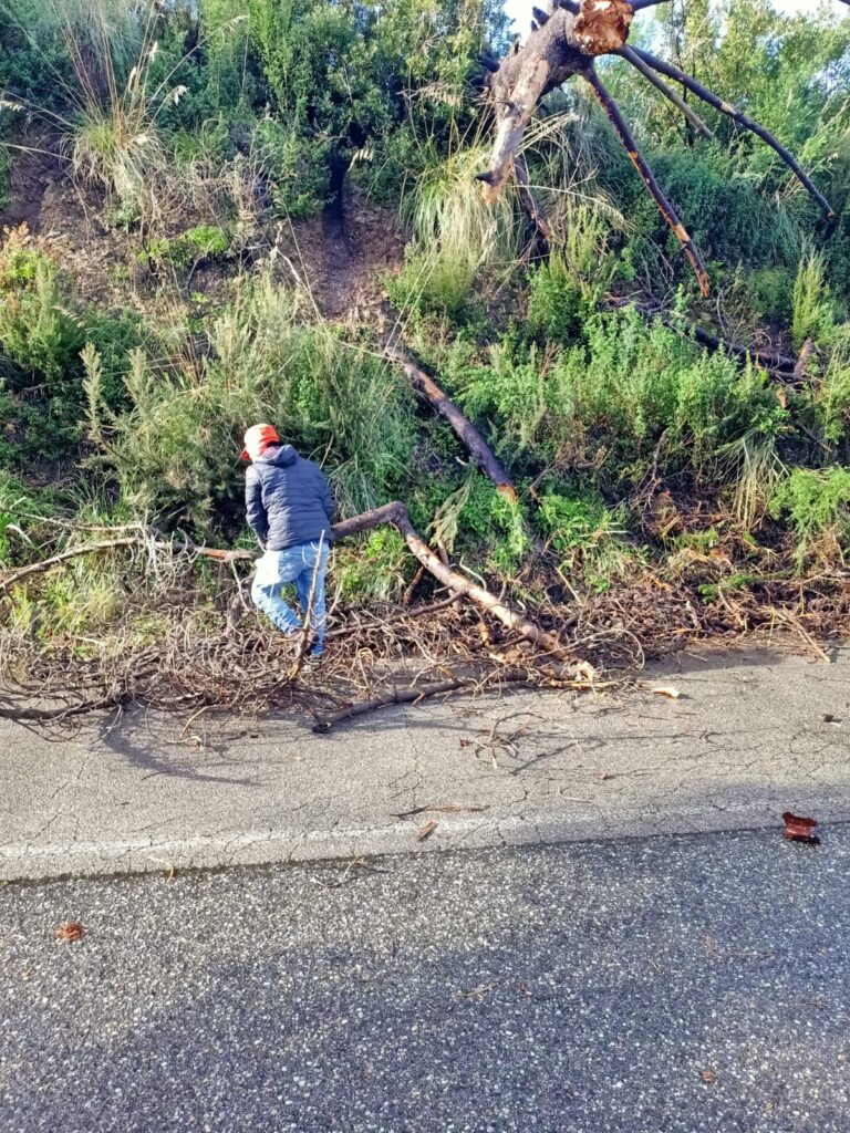 Intervento dei cantonieri sulla S.P. 44 Campo Italia e S.P. 45 Curcuraci-4 Masse