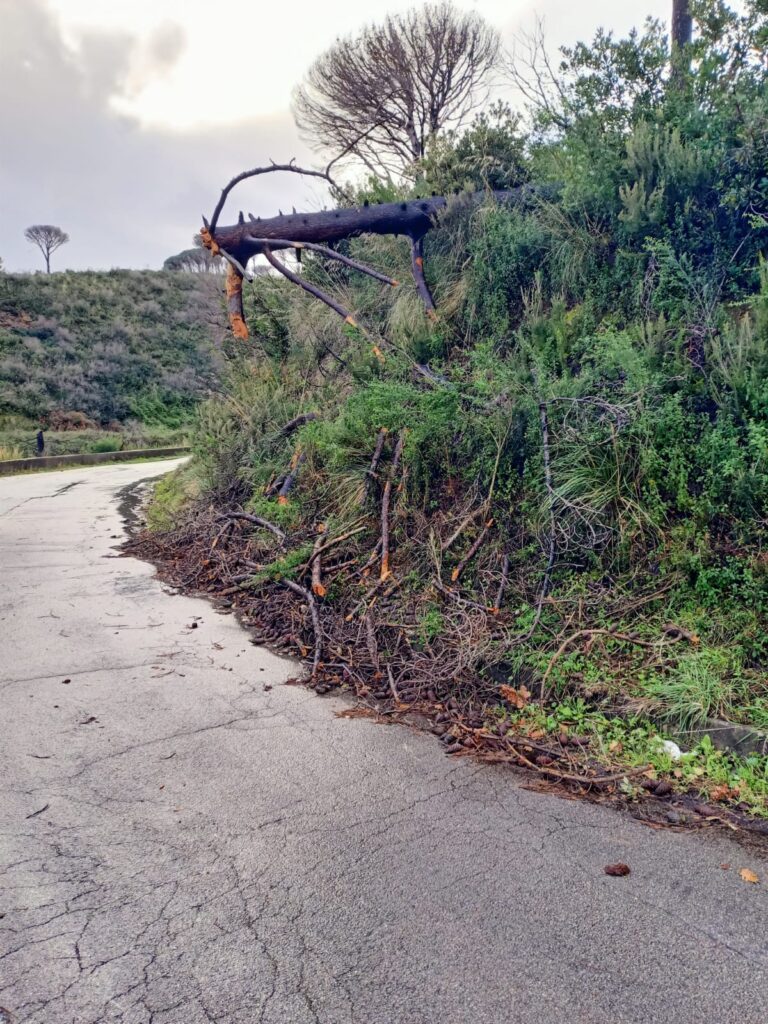 Intervento dei cantonieri sulla S.P. 44 Campo Italia e S.P. 45 Curcuraci-4 Masse