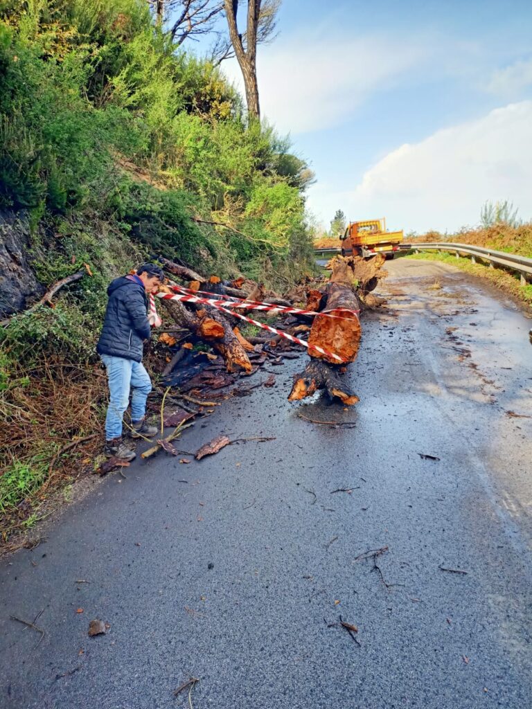 Intervento dei cantonieri sulla S.P. 44 Campo Italia e S.P. 45 Curcuraci-4 Masse
