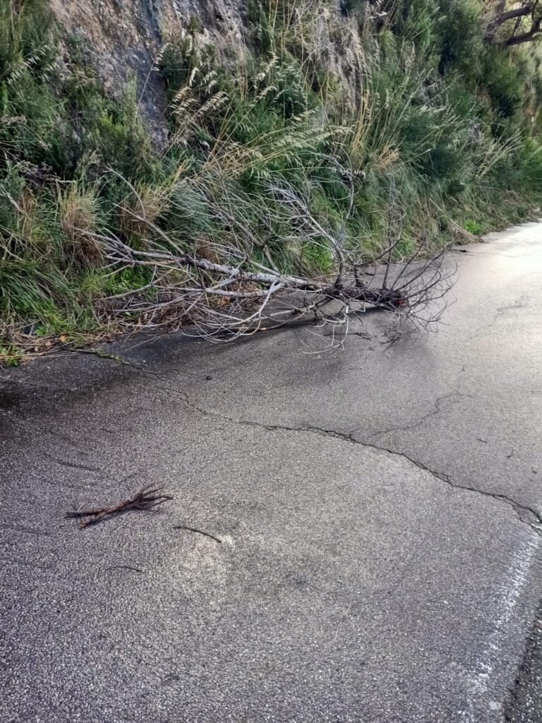 Intervento dei cantonieri sulla S.P. 44 Campo Italia e S.P. 45 Curcuraci-4 Masse