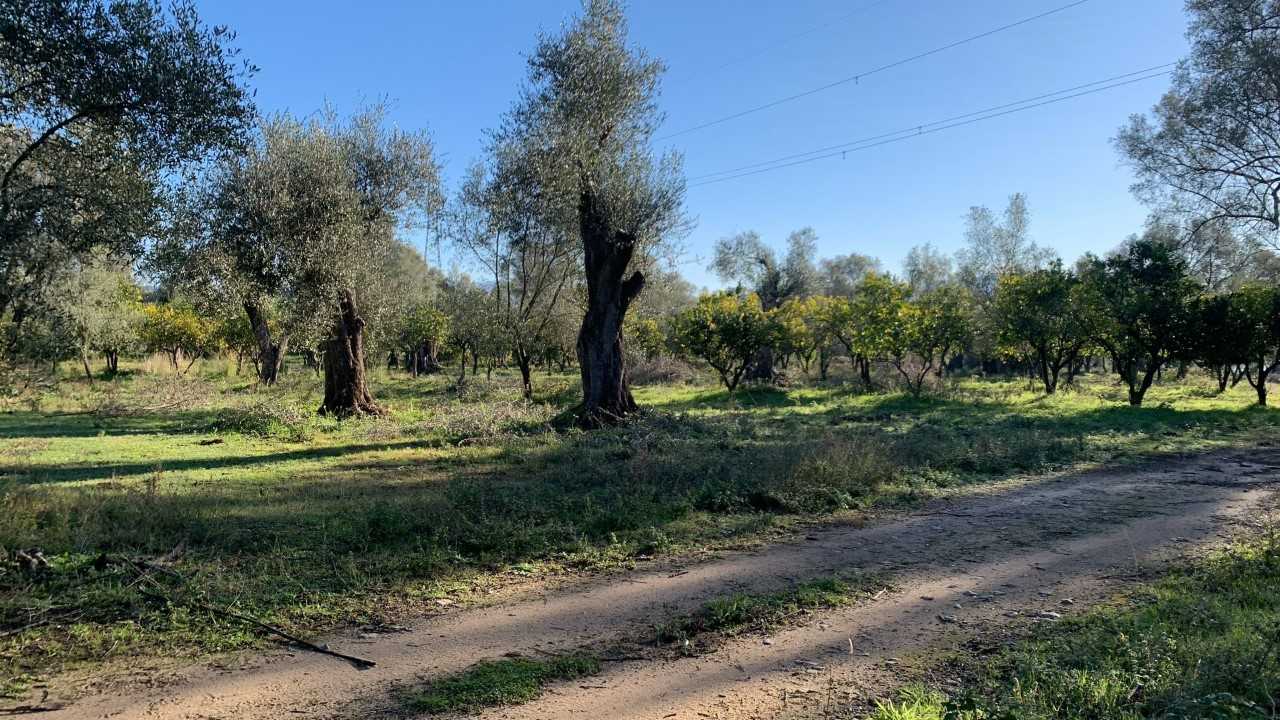 L’azienda Tenuta Badia