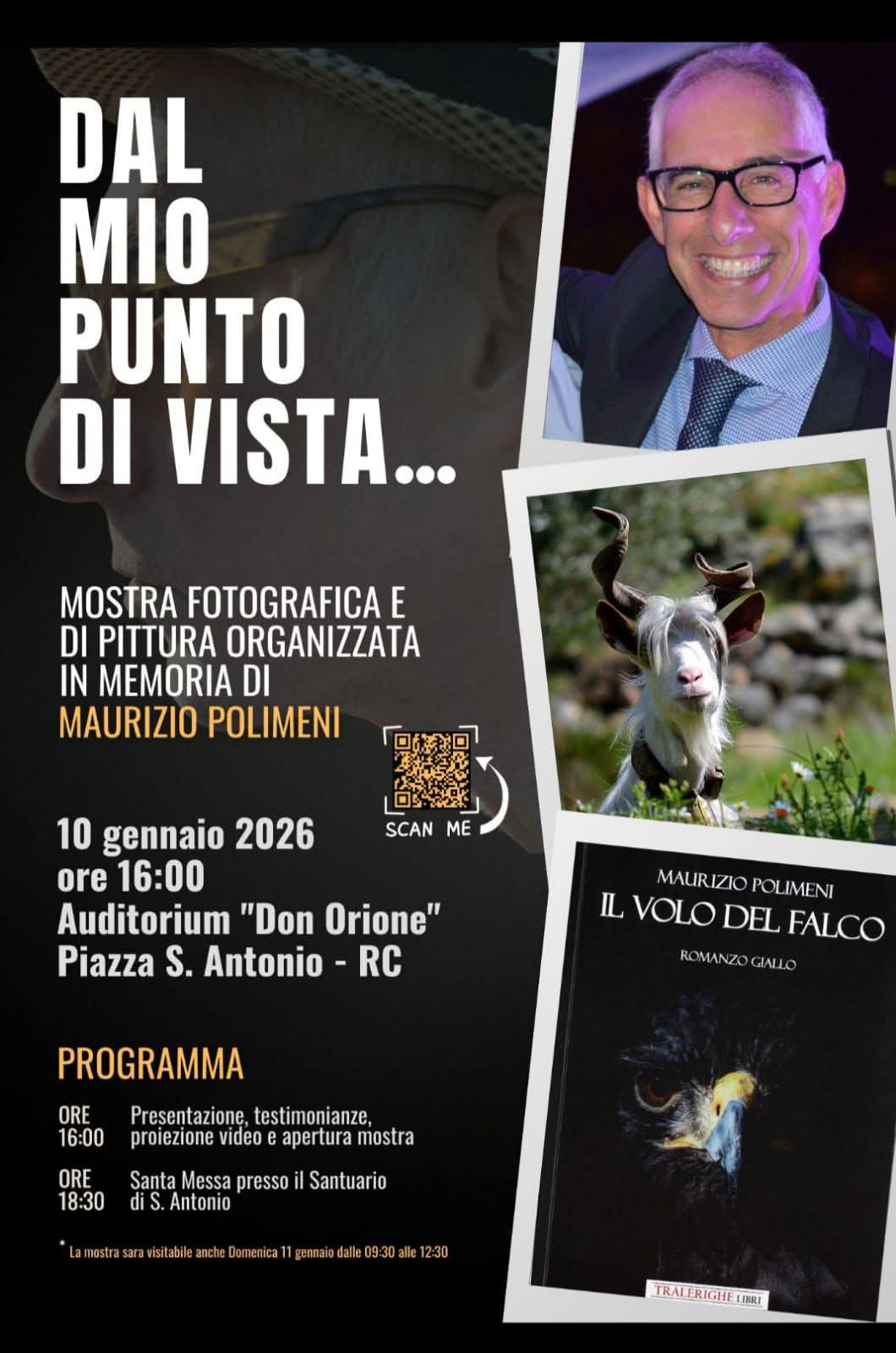 Locandina Dal Mio punto di vista