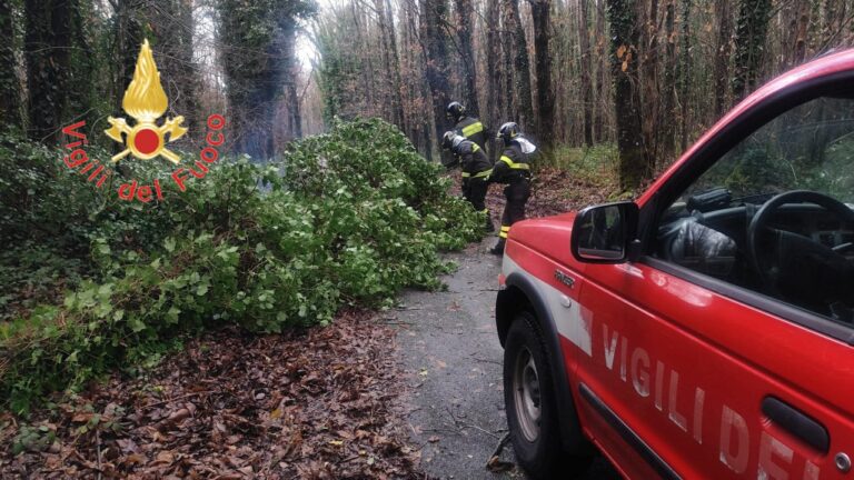 Maltempo intervento Vigili Fuoco Calabria