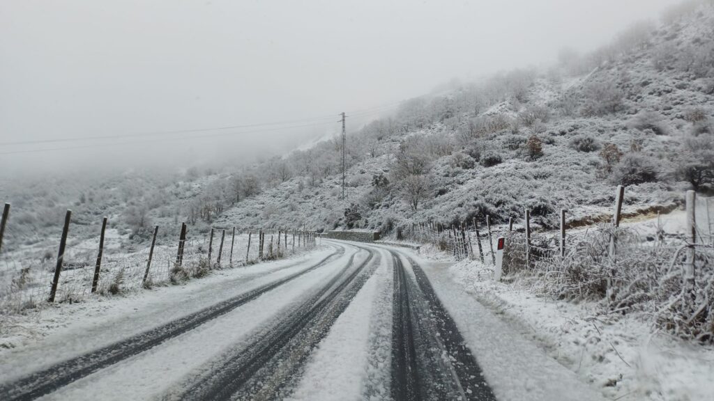 Neve Nebrodi