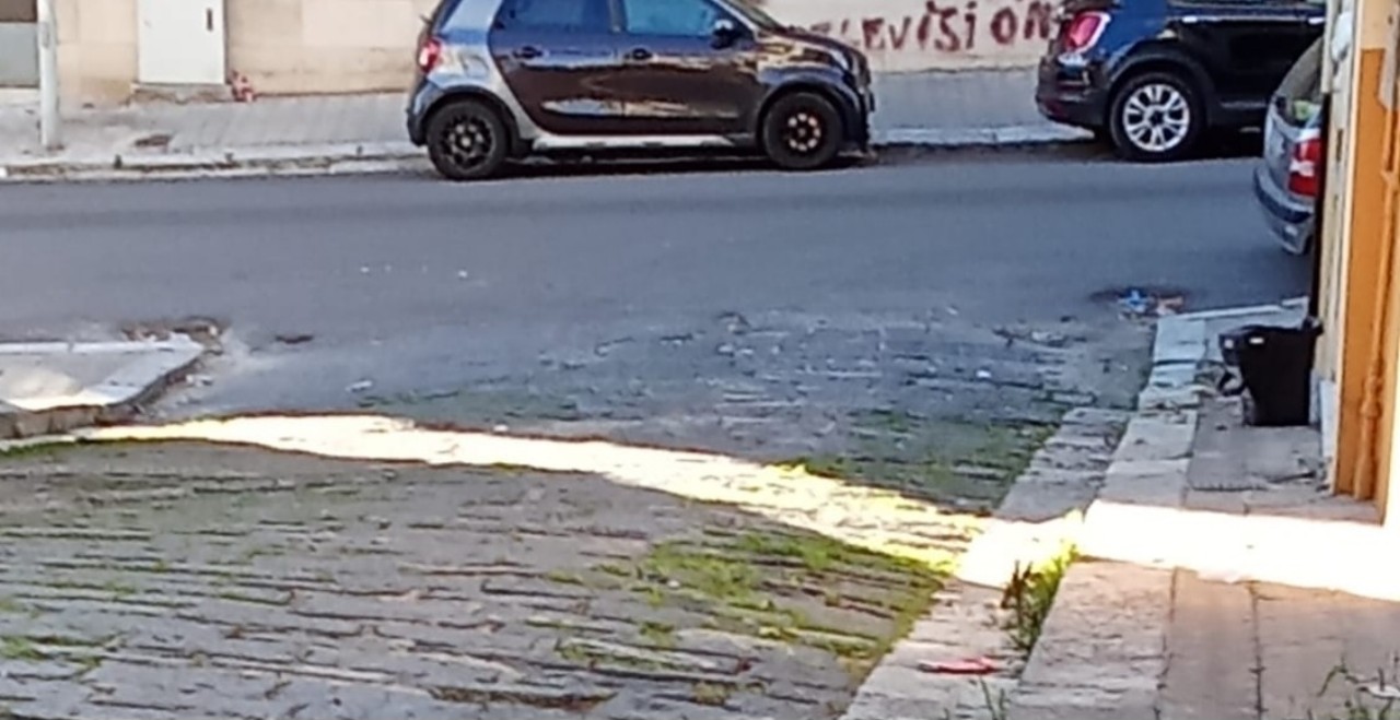 Raccolta spazzatura via Battaglia