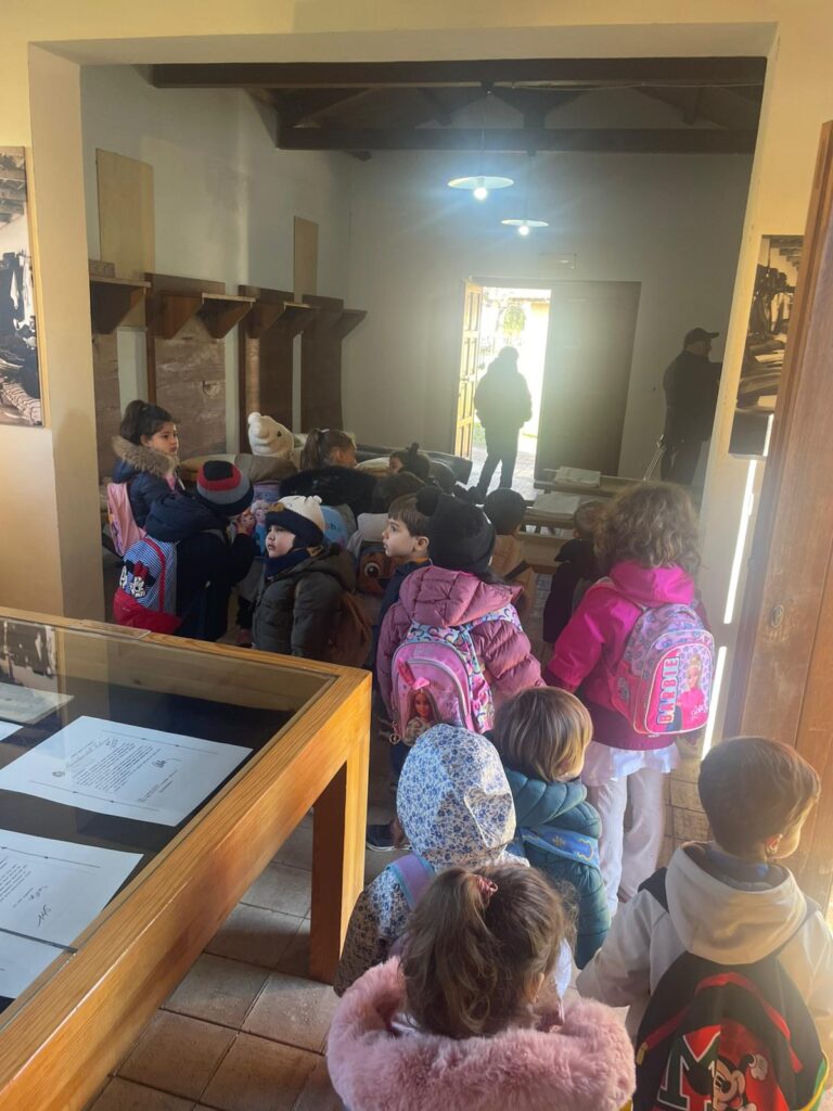 Scuola Magnolia campo concentramento Tarsia