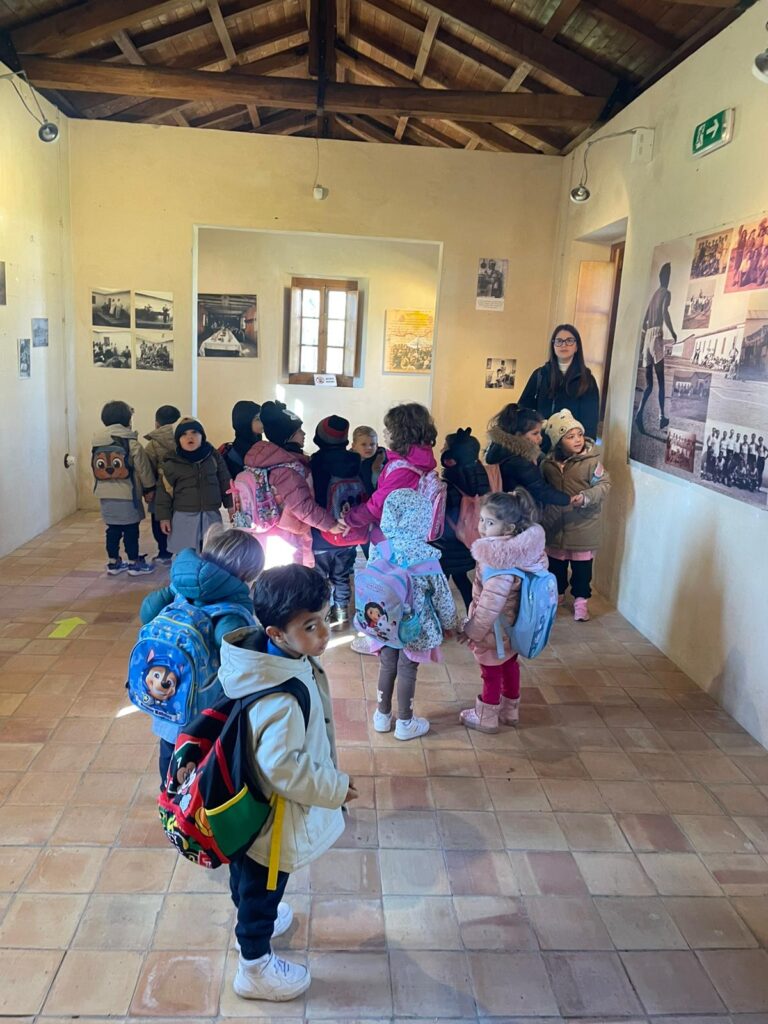 Scuola Magnolia campo concentramento Tarsia