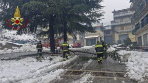 caduta alberi maltempo