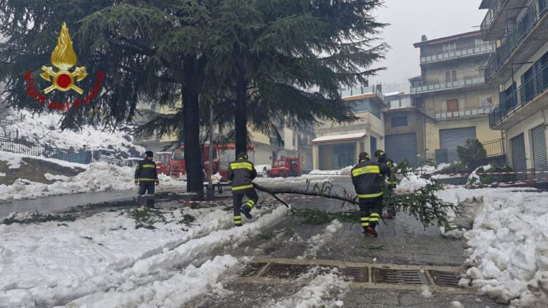 caduta alberi maltempo