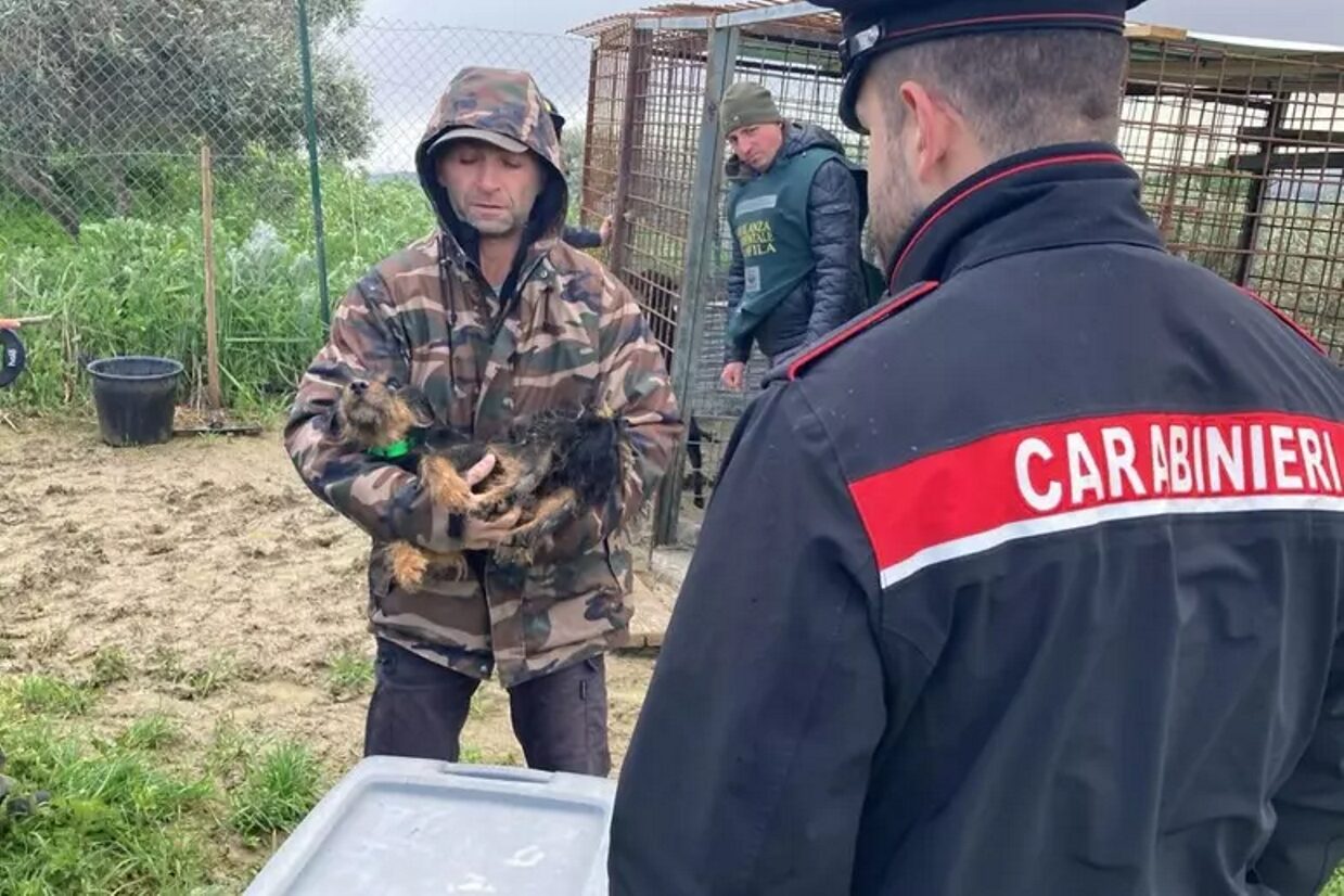 cani tenuti male carabinieri